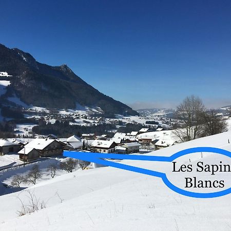 Les Sapins Blancs Appartement Vacheresse Buitenkant foto