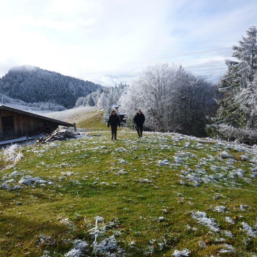 Les Sapins Blancs Appartement Vacheresse Buitenkant foto