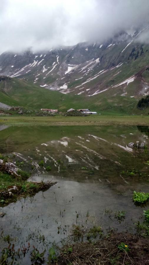 Les Sapins Blancs Appartement Vacheresse Buitenkant foto