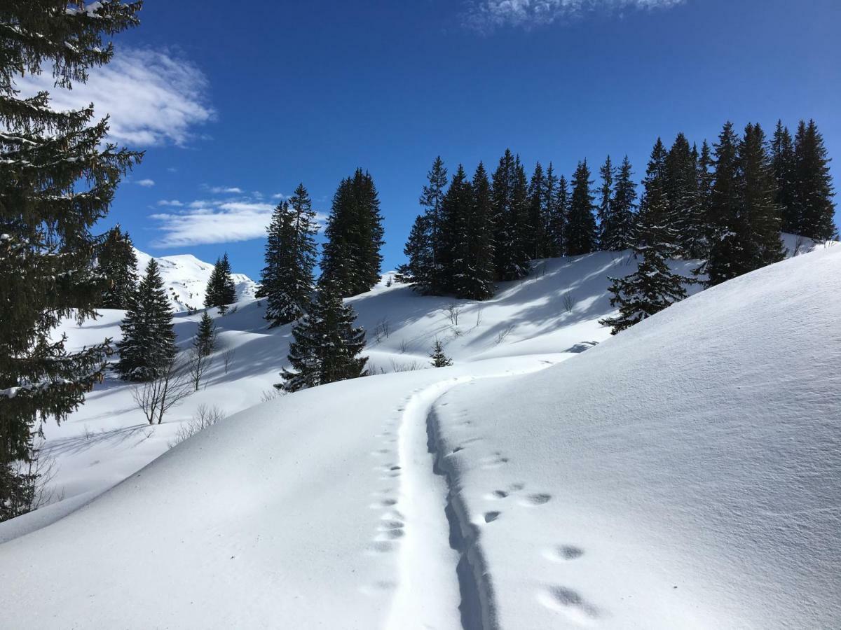 Les Sapins Blancs Appartement Vacheresse Buitenkant foto